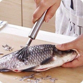 Dụng cụ nạo dừa