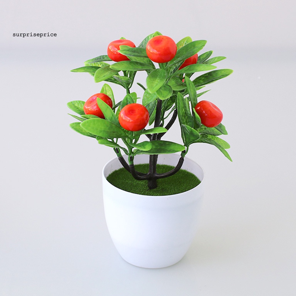 Chậu cây bonsai nhân tạo bằng nhựa sống động như thật trang trí nhà cửa nhiều kiểu dáng