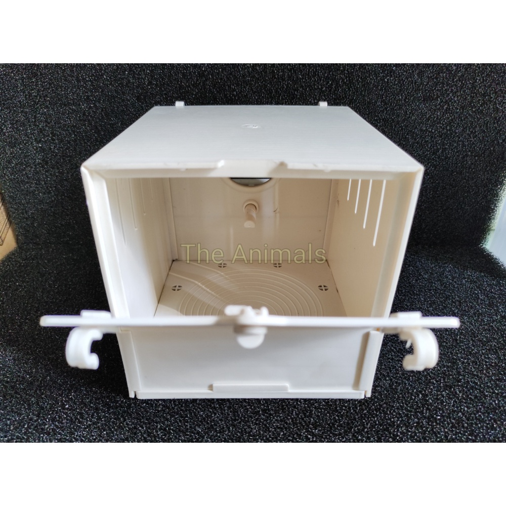 Tổ chim yến phụng, yến hót - bảy màu - manh manh