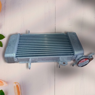 Két nước làm mát - két tản nhiệt xe exciter 135- 8809