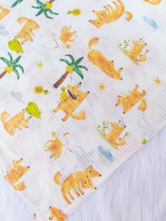Bộ cotton giấy chất Hàn xuất dư