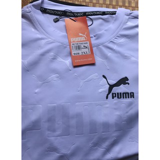 Bộ thể thao nam cao dãn 4 chiều loại 1 [ảnh thật]