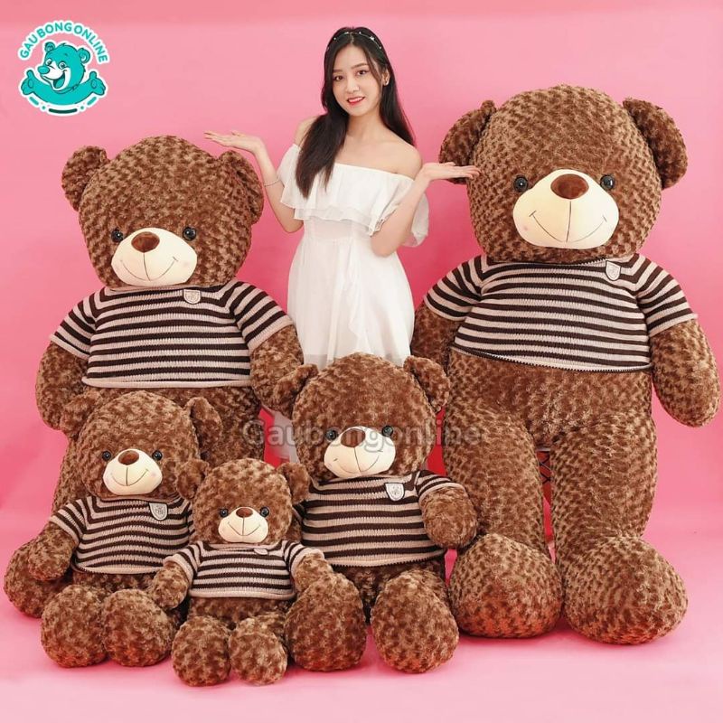 Gấu bông ❤️ Teddy áo len choco ❤️ lông xoắn hoa hồng cao cấp FREESHIP FREE GÓI QUÀ