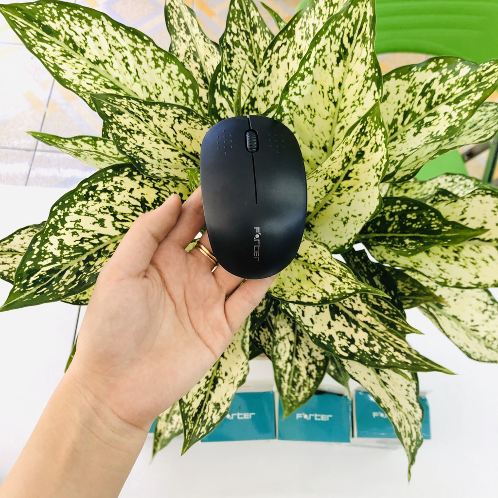 Chuột Không Dây FORTER v181
