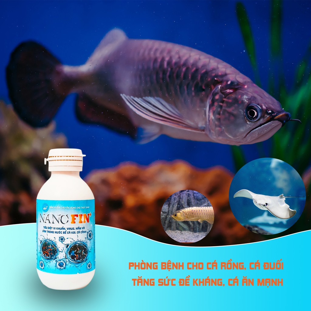 Nano bạc thủy sinh Fin+ 💦Làm sạch bể cá, phòng bệnh cá cảnh, cá Koi💦