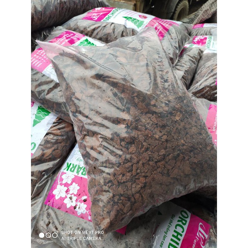 Vỏ thông cao cấp đã qua xử lý Orchirds bark