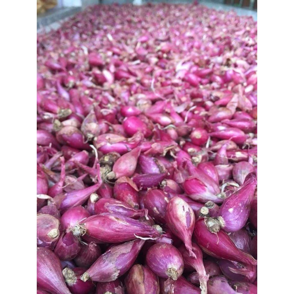 HÀNH LÝ SƠN 1KG