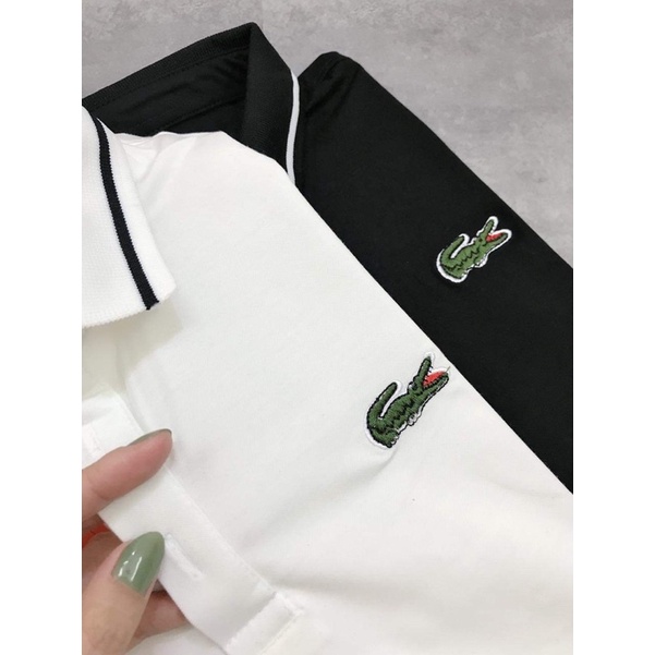 Áo P0I0 thêu logo cá xấu , áo thun nam nữ hè chất dày mịn thông thoáng thấm hút mồ hôi sẵn 2 màu đủ size