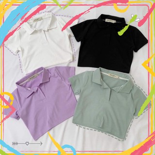 Áo plo croptop trơn tt12