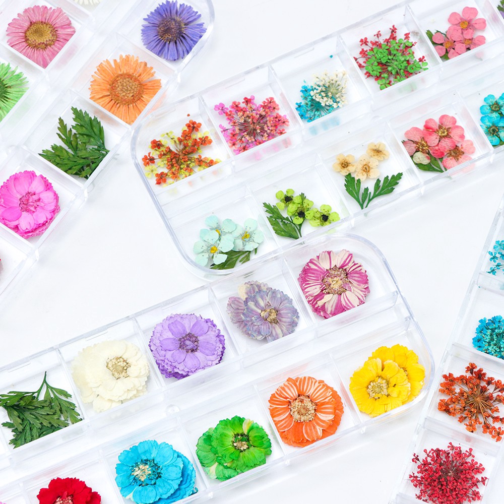 Miếng Dán Hoa Khô 3d Trang Trí Móng Tay