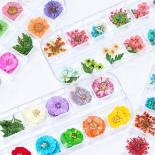 Miếng Dán Hoa Khô 3d Trang Trí Móng Tay