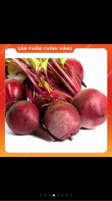 Hạt giống củ dền đỏ 1- gói 10 gr