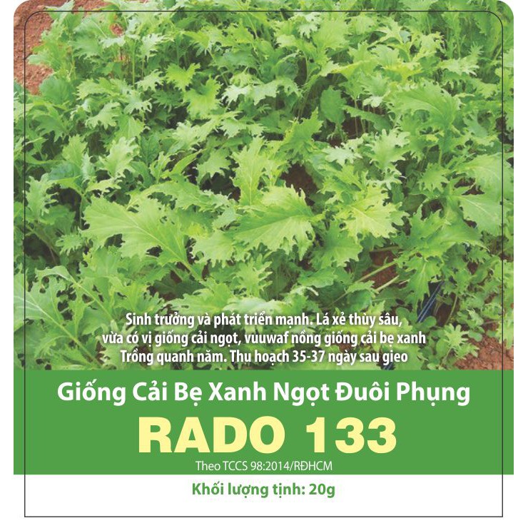 Hạt Giống Cải Ngọt Đuôi Phụng 20gr