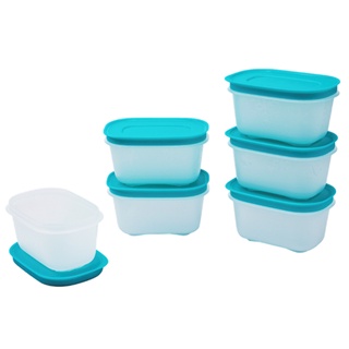 Bộ hộp trữ đông mini freezermate gen ii 170ml 6 hộp