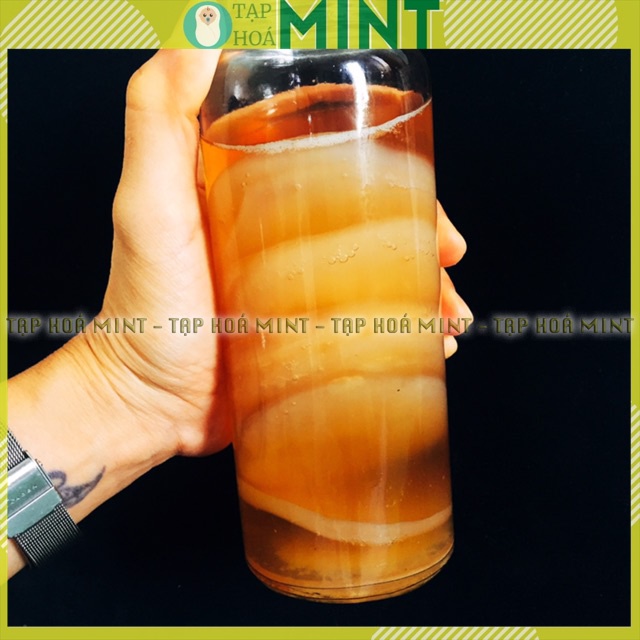 Con giống Scoby làm trà Kombucha - Tạp hoá mint