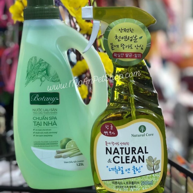 Lau sàn và xịt khử khuẩn