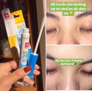 Dưỡng mi Evelin