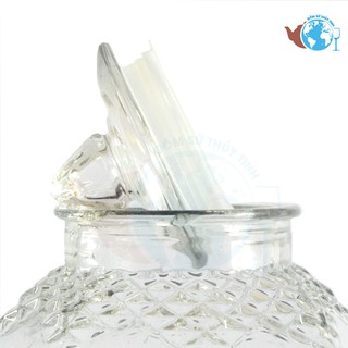 BÌNH NGÂM RƯỢU 8833 38L