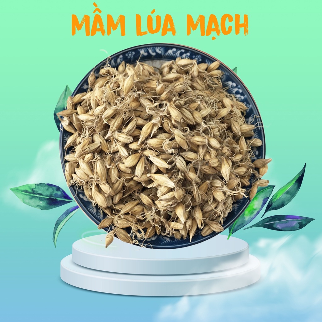 Trà Hạt lúa mạch lên mầm rễ sấy khô 100g.