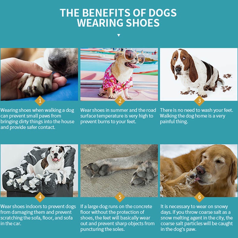 HamshMoc Giày bốt cổ cao thoáng khí chống trượt cho thú cưng