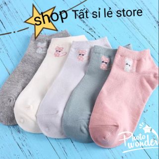 Combo5 tất mèo nhã hq