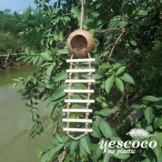 Tổ chim gáo dừa 8 thang gỗ || Cocodecor Xưởng SX