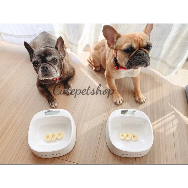 Bát Ăn Uống Thông Minh Kèm Cân Điện Tử Cho Chó Mèo Fresh Smart Antibacterial Bowl Petkit