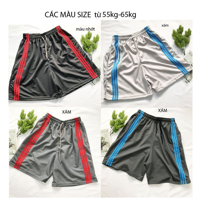 Quần đùi nam SIZE từ 55kg-75kg quần sọt short lửng nam thể thao mặc nhà thun phối 3 sọc - QDN04