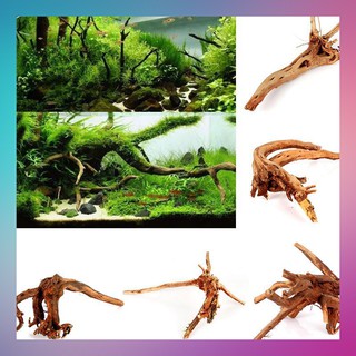 Lũa Bé Trang Trí Bể Cá - Bể Thủy Sinh - Lũa Cành - [ Xưởng Thủy Sinh TS Online37 ]