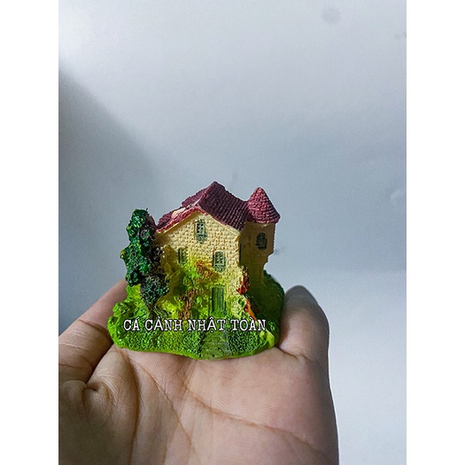 CẢNH NHÀ TRANG TRÍ HỒ CÁ NON BỘ 6X4X5CM MẪU KHÁC