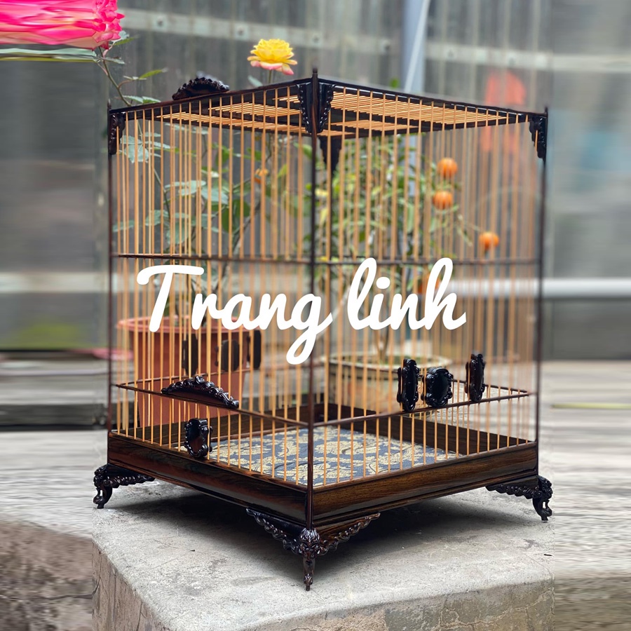Lồng chim Jambul - TL02