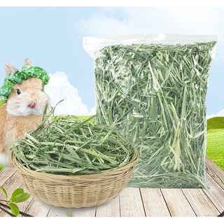 CỎ LÚA MẠCH HÀ LAN 500G CHO THỎ, BỌ