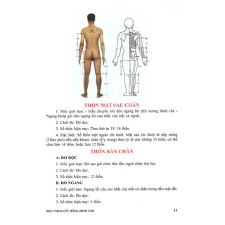 Sách - Học Châm Cứu Bằng Hình Ảnh (Tái Bản)