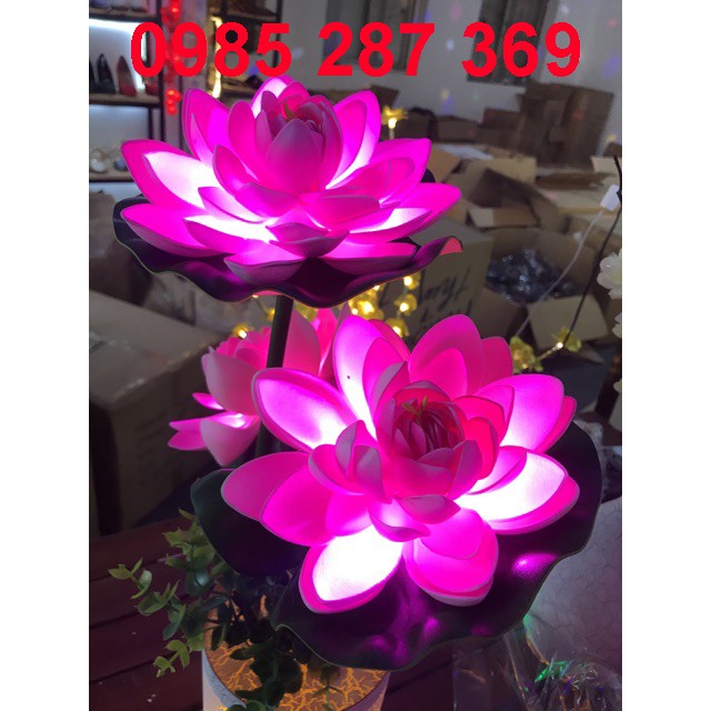 Đèn LED Hình Hoa Sen. Đèn Trang Trí Ngày Tết