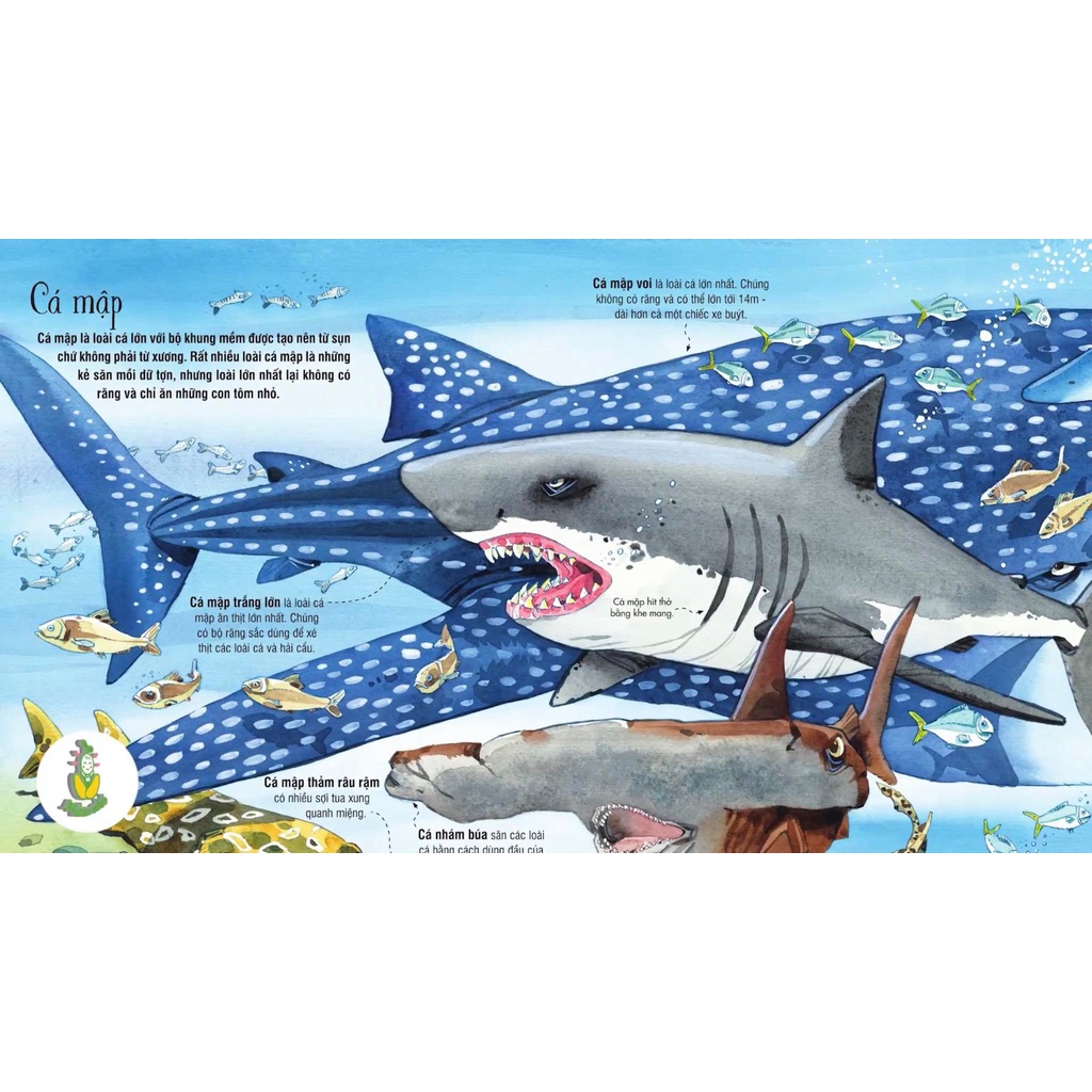 Sách - Big book - Cuốn sách khổng lồ về các loài động vật biển
