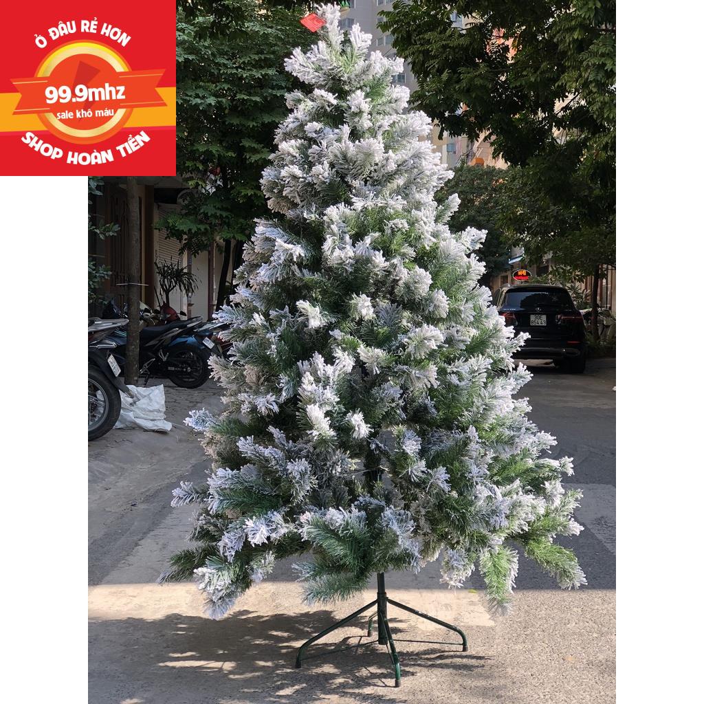 Cây Thông Noel Phủ Tuyết 90cm, 1m2, 1m5, 1m8, 2m1, 2m4, 3m Cây Thông Trang Trí Noel Giáng Sinh Hàng Việt Nam Cao Cấp