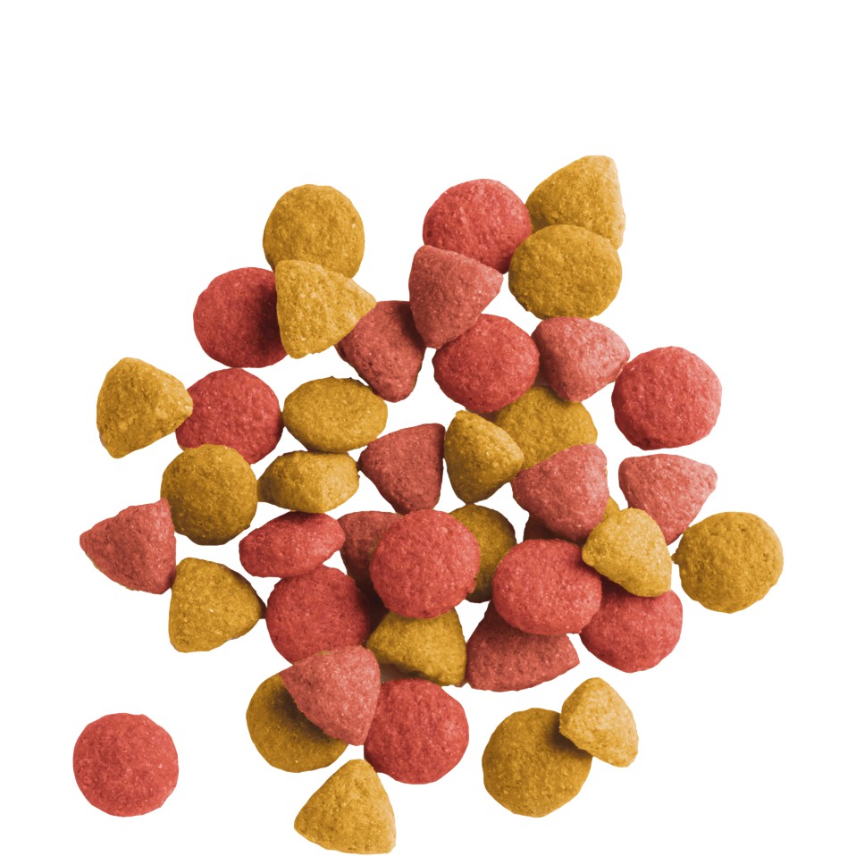 Thức Ăn Ngừa Bệnh Búi Lông Cho Mèo - Versele-Laga Lara Adult Indoor Giúp Lợi Tiêu Hoá Gói 350g