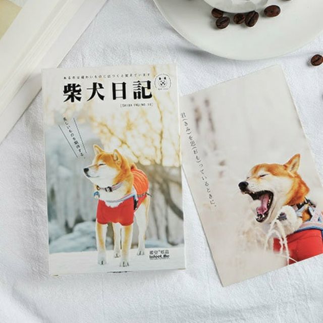 Postcard Shiba Inu hộp 30 tấm