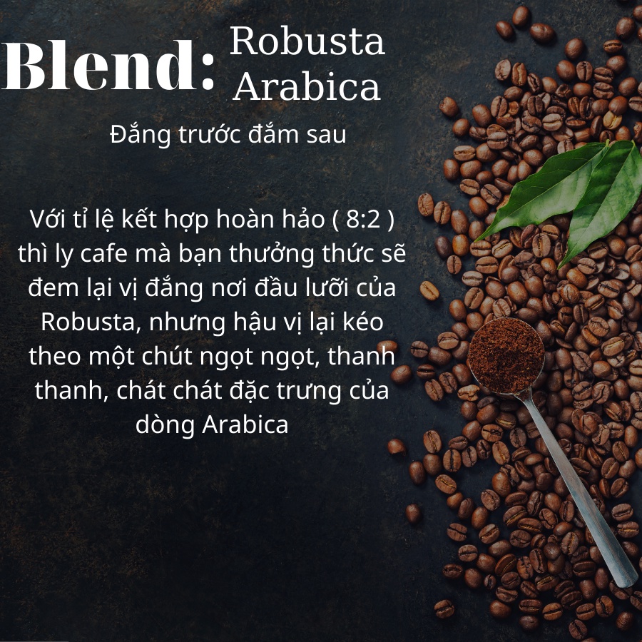 Cà Phê Nguyên Chất Rang Xay Mộc Blend Robusta Arabica Bassic Coffee Thơm Ngon Đậm Vị Cafe Sạch Dak Lak Gói Dùng Thử 200g