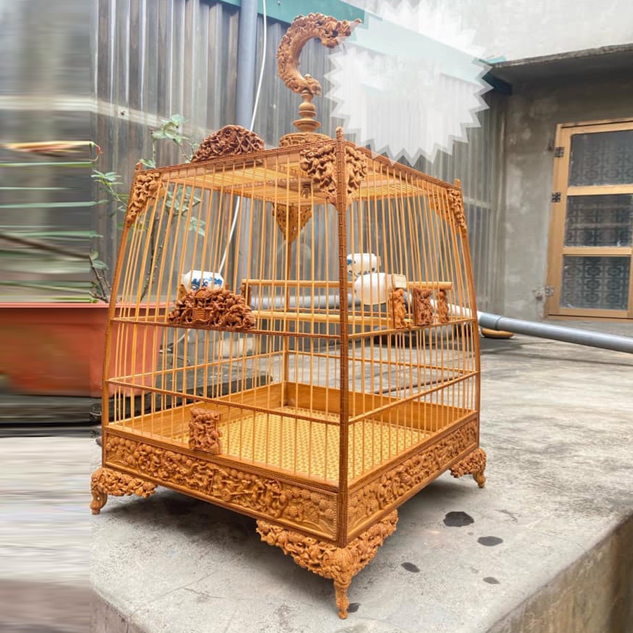 Lồng chim Jambul - TL16