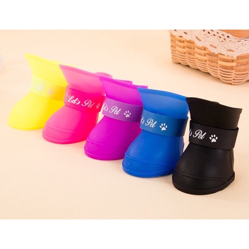 Giày chống nước chó mèo