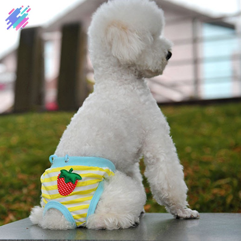 Quần tã sinh lý kiểu dáng xinh xắn cho thú cưng giống cái size S/ M/ L/ XL