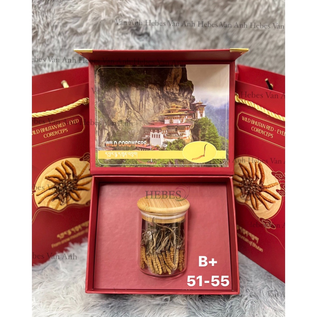 ĐÔNG TRÙNG HẠ THẢO MẮT ĐỎ BHUTAN 10GRAM SIZE 51-55 CON