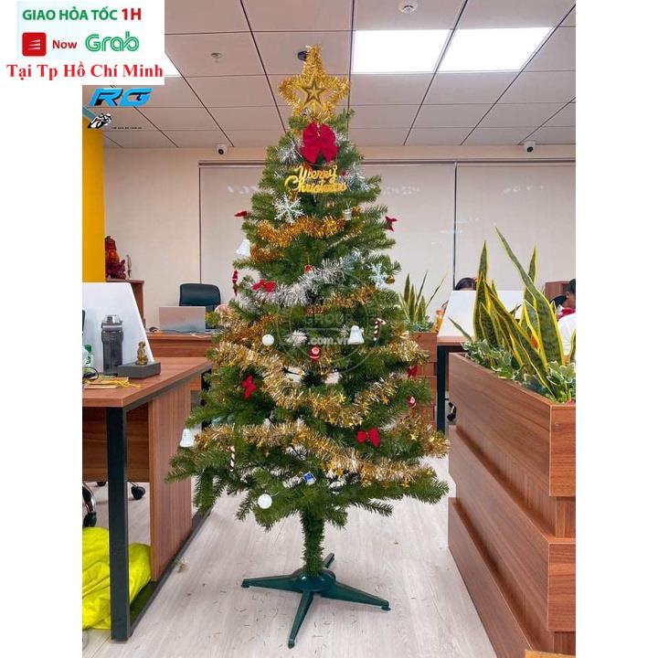 Cây Thông Noel 1m5 Trang Trí Giáng Sinh Cao Tặng 1 Ngôi Sao Và 3 Dây Kim Tuyến Hàng Việt Nam Cao Cấp