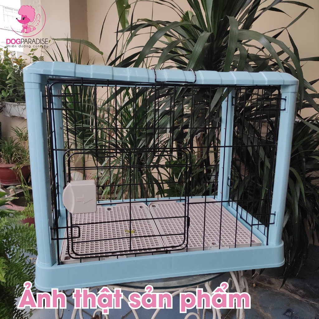 Chuồng chó mèo bằng sắt sơn tĩnh điện cao cấp  P1048 PIAN PIAN - Dog Paradise