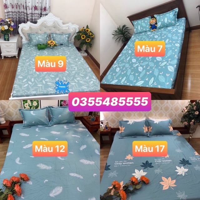 Bộ Ga Gối Cotton 100% Cao Cấp Mẫu Mới 2020