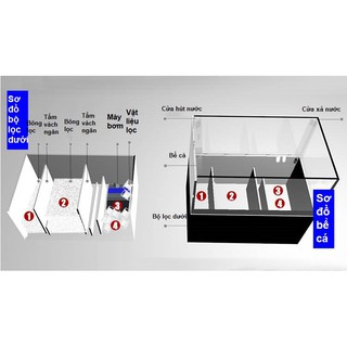 Bể cá mini thủy sinh để bàn làm việc