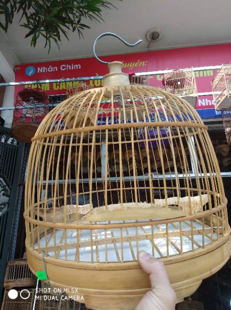 Lồng cu bu nuôi cu gáy