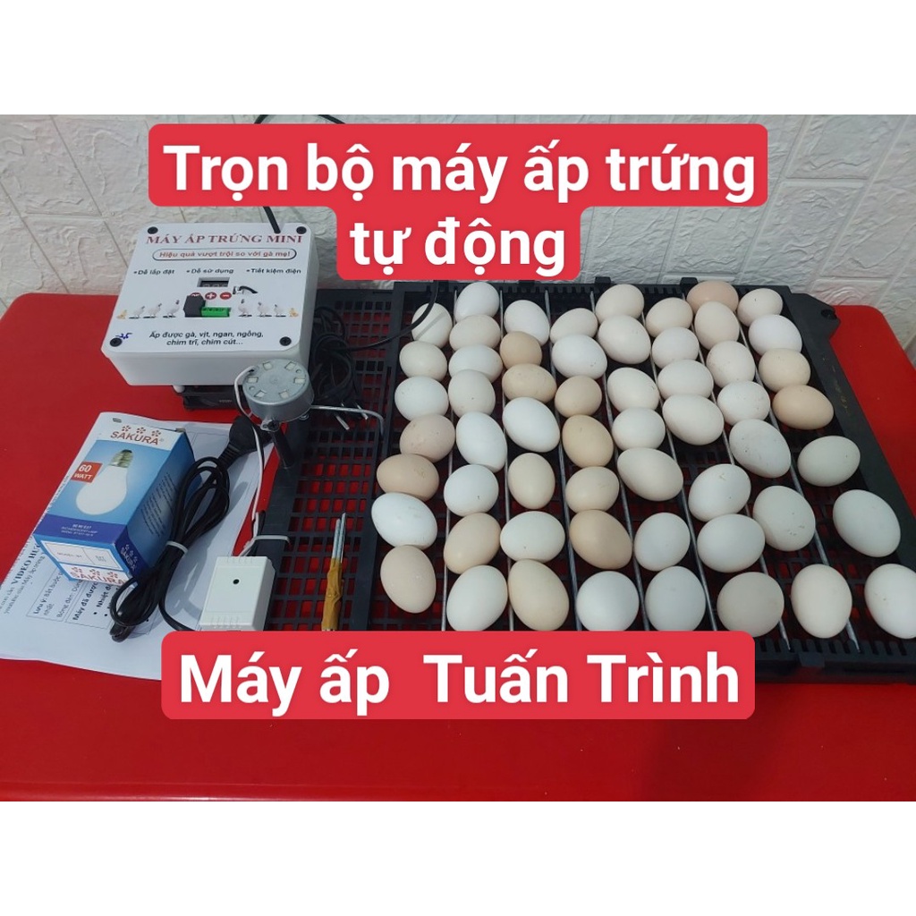 Bộ máy ấp trứng gà vịt tự động 54 trứng, tỷ lệ nở cao, thương hiệu Tuấn Trình