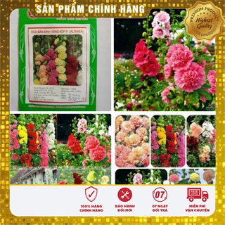Hạt Giống Hoa Mãn Đỉnh Hồng kép Mix(10 hạt) Lucky seeds
